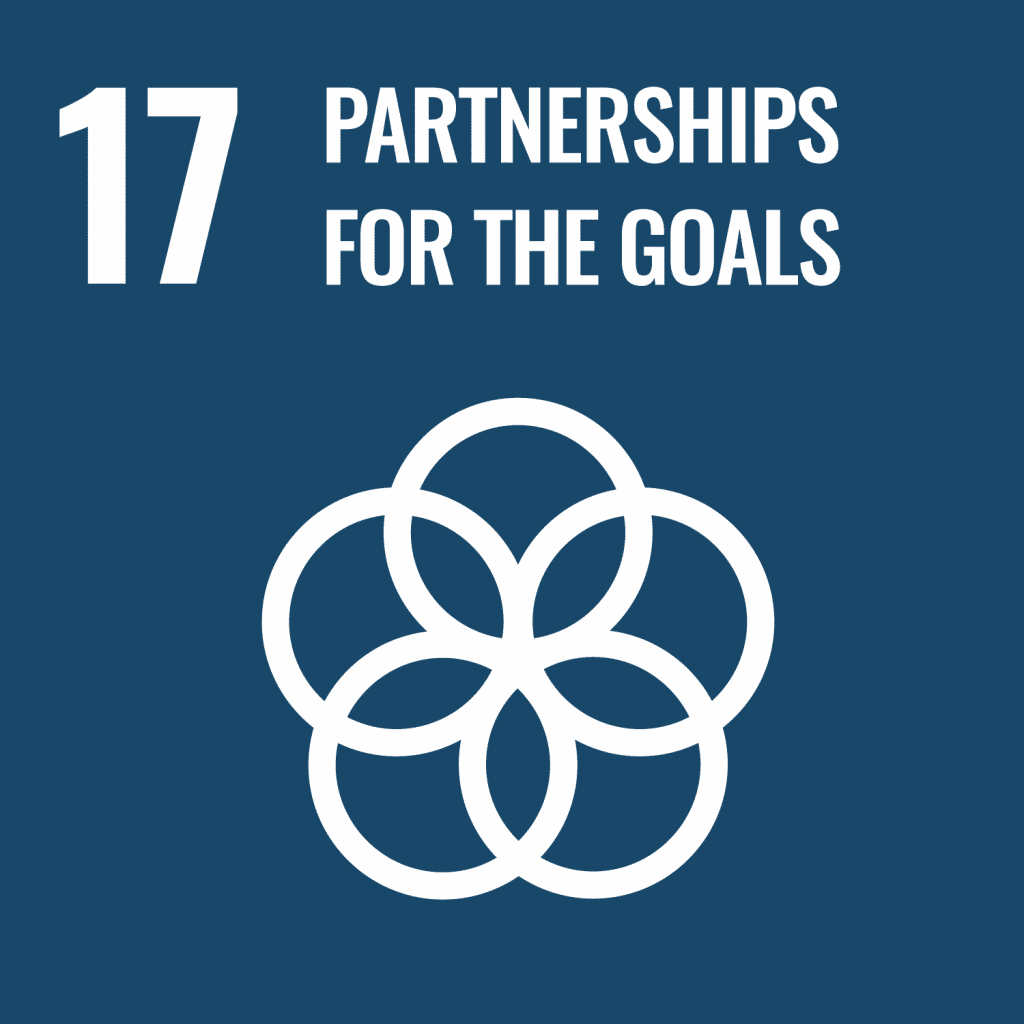 SDG Goal 17 - Partnerships for the Goals
