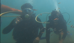 Underwater Activity