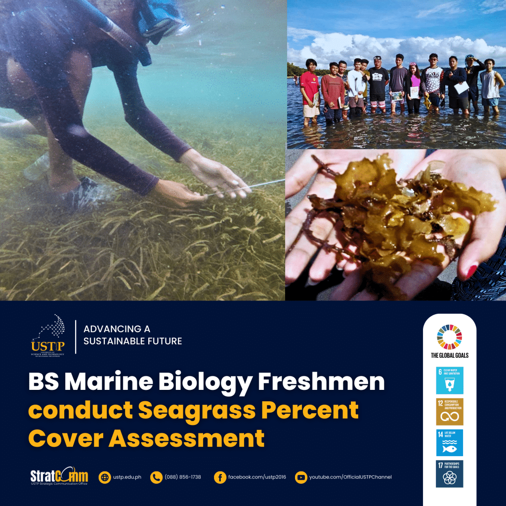 BS Marine Biology Freshmen conducts Seagrass Percent Cover Assessment