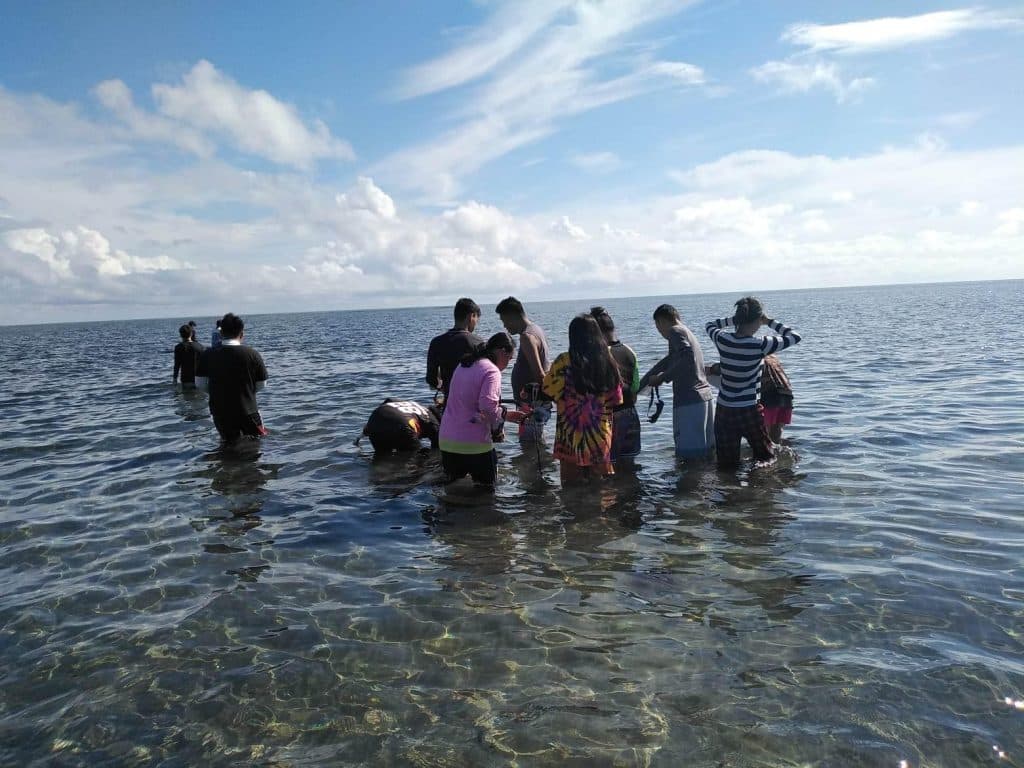 Seagrass Assessment