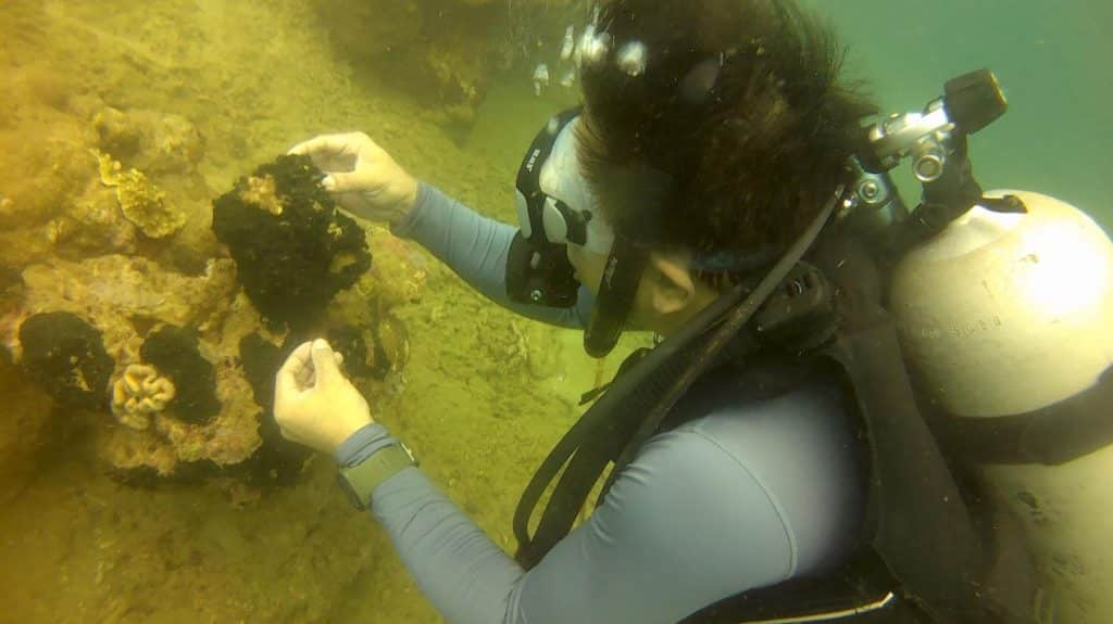 BSMB students, CMAS certified SCUBA divers 1
