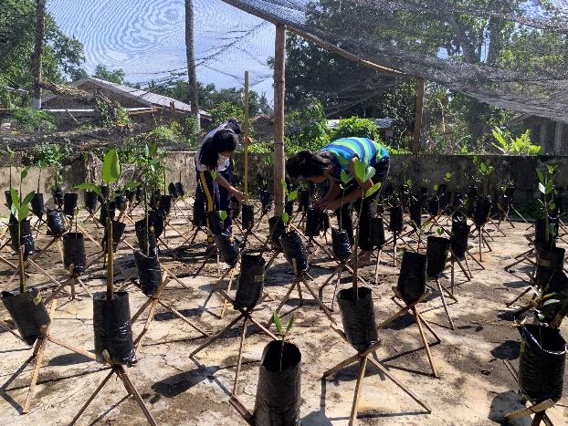 USTP Panaon, DMB conduct study on mangrove growth and survival rate 1
