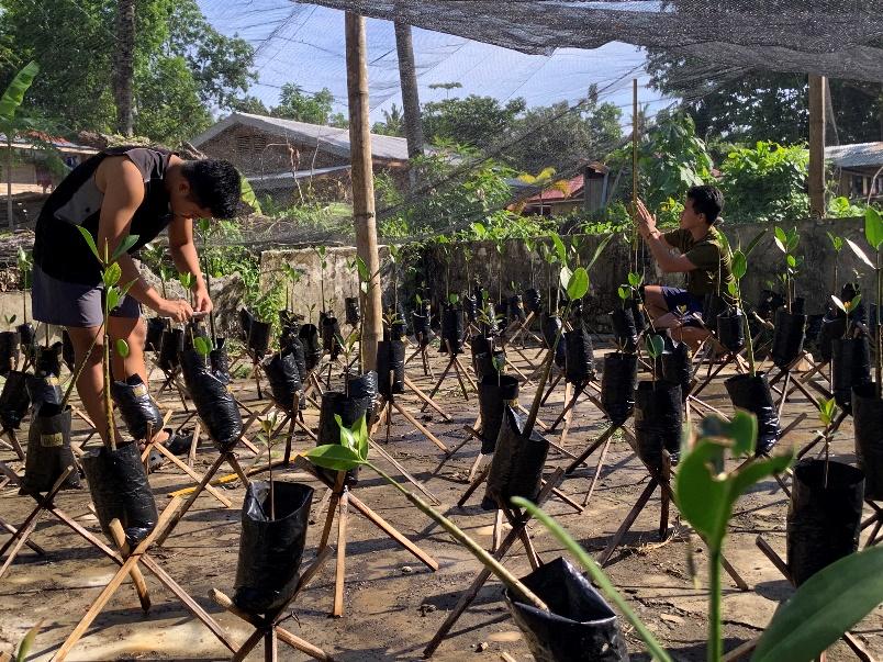 USTP Panaon, DMB conduct study on mangrove growth and survival rate 2