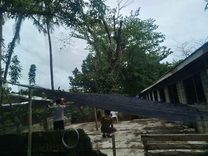 USTP Panaon, DMB conduct study on mangrove growth and survival rate 4