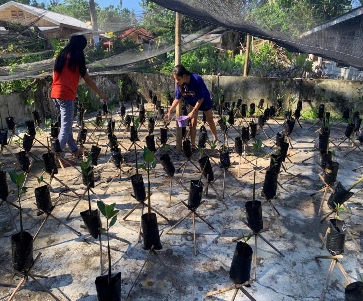 USTP Panaon, DMB conduct study on mangrove growth and survival rate 8