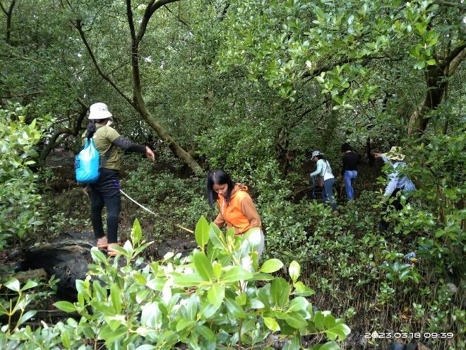 USTP Panaon, BSMB explore mangrove structure and biodiversity in coastal barangays 1