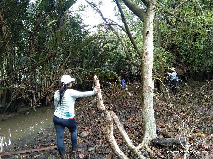 USTP Panaon, BSMB explore mangrove structure and biodiversity in coastal barangays 3