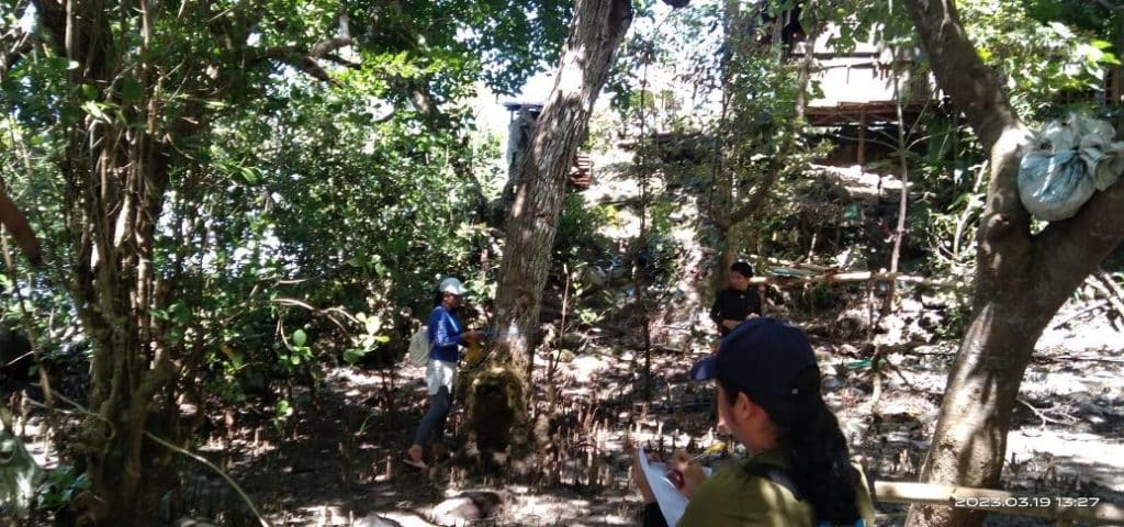 USTP Panaon, BSMB explore mangrove structure and biodiversity in coastal barangays 4