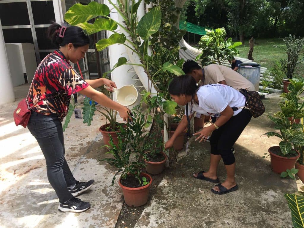 USTP Alubijid implements Brigada Eskwela Clean as One 8