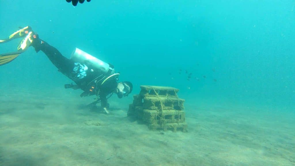BSMB students install Artificial Coral Reefs in Panaon Coastal Waters 10