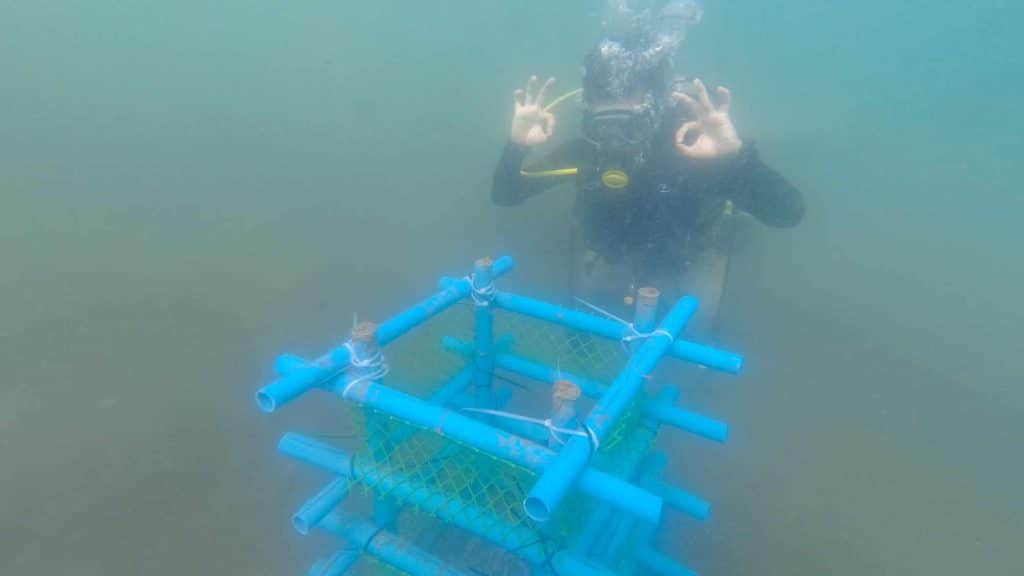 BSMB students install Artificial Coral Reefs in Panaon Coastal Waters 2