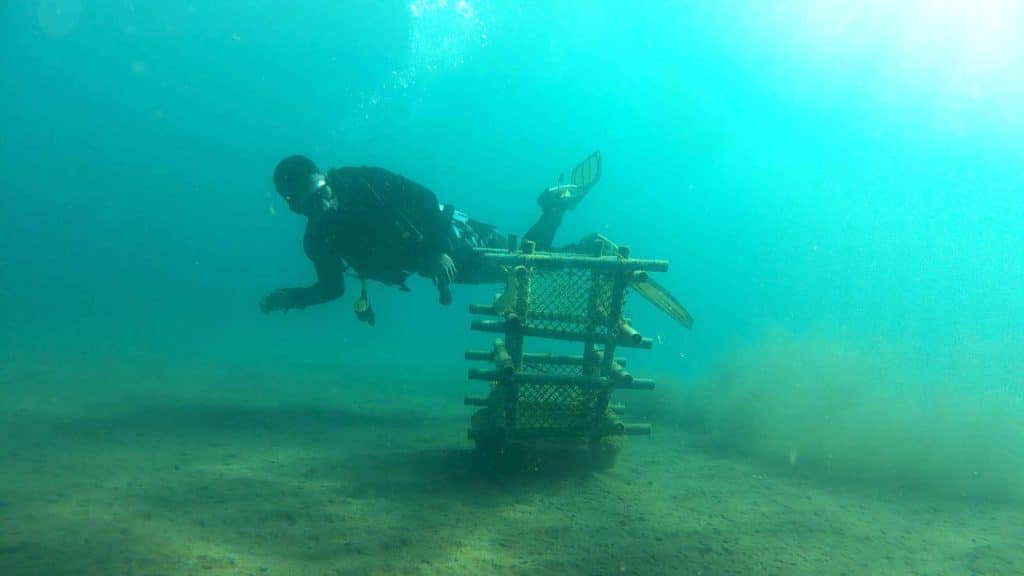 BSMB students install Artificial Coral Reefs in Panaon Coastal Waters 9