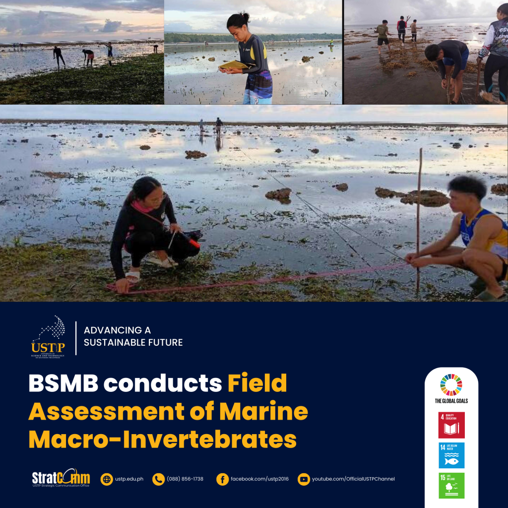 BSMB conducts Field Assessment of Marine Macro-Invertebrates