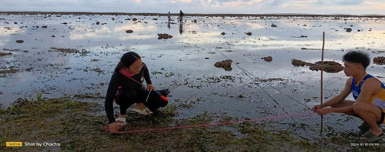 BSMB conducts Field Assessment of Marine Macro-Invertebrates​ 1