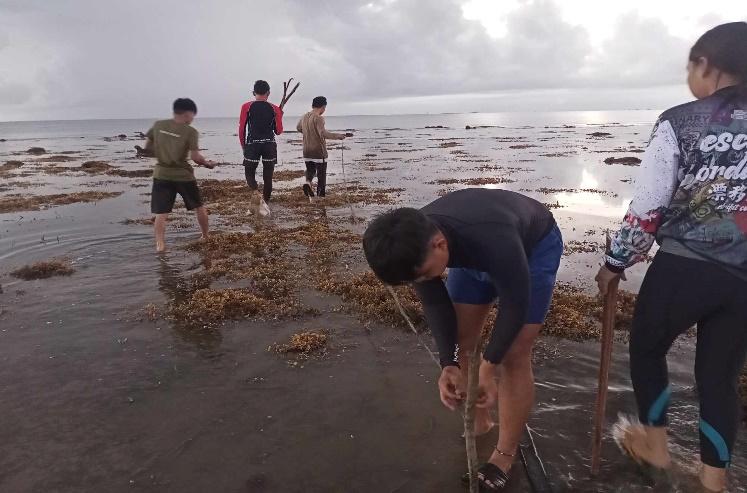 BSMB conducts Field Assessment of Marine Macro-Invertebrates​ 2